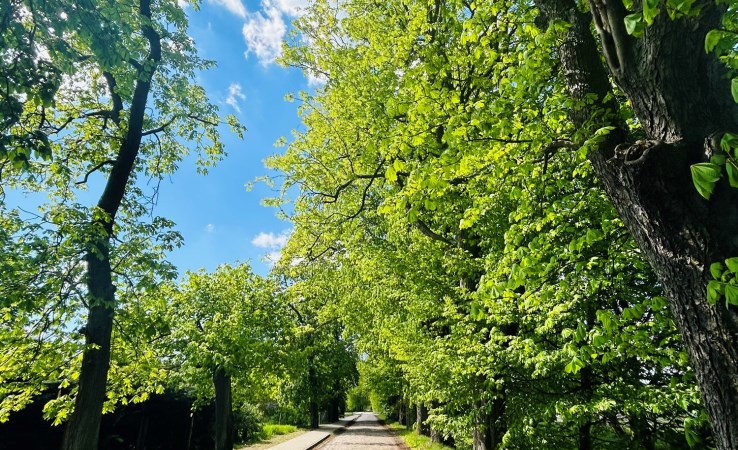 działka na sprzedaż - Dobra (Szczecińska), Rzędziny