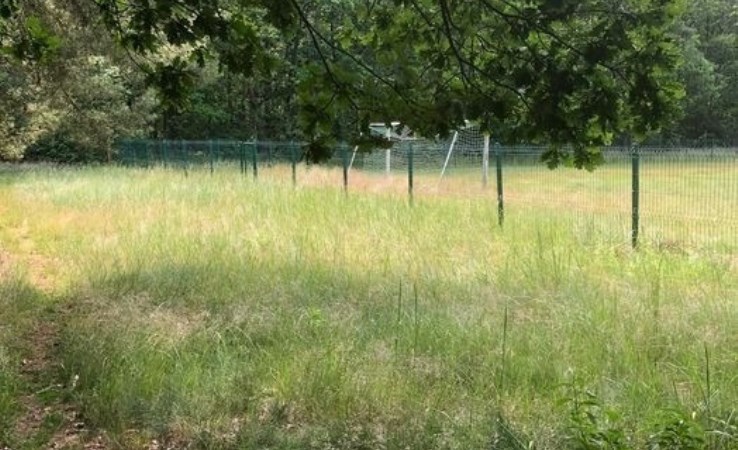 działka na sprzedaż - Nowe Warpno (gw), Brzózki