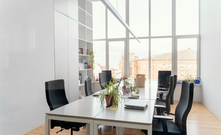 lokal na wynajem - Szczecin